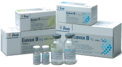 The vaccine against Viral Hepatitis B
